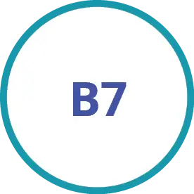 B7-(1)