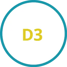 D3-(1)