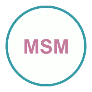 msm-300x300